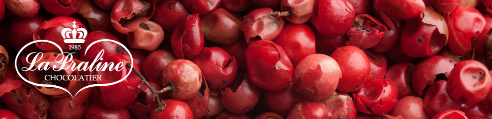 La Praline Chocolatier, chocolates de leche la praline chocolatier