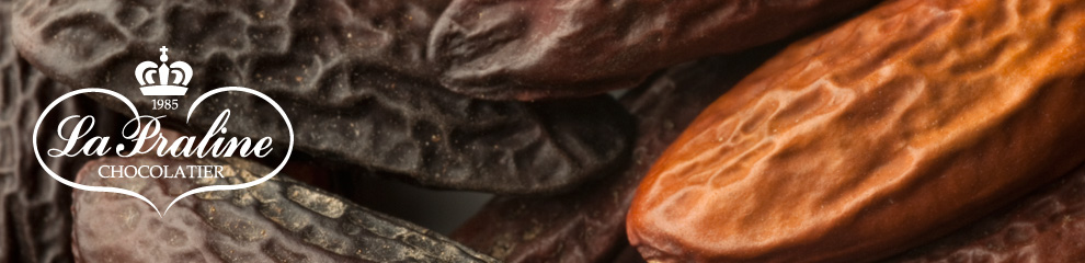 quienes somos la praline chocolatier