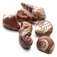 La Praline Chocolatier, chocolate Frutos del Mar