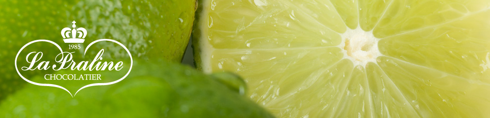 contacto la praline chocolatier