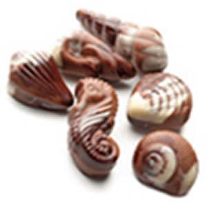 La Praline Chocolatier, chocolate  caballo