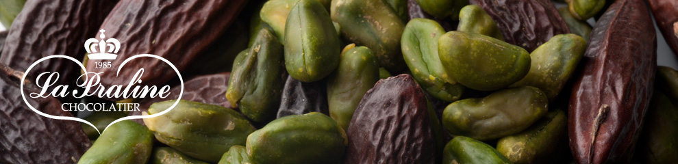 La Praline Chocolatier, chocolate  chocolates oscuros