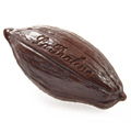 La Praline Chocolatier, chocolate Avellana